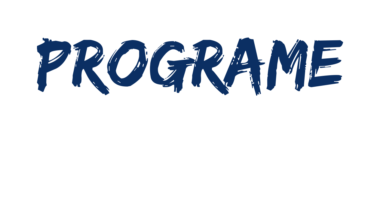 Programe de studii